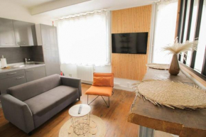 NEW! St Martin 52B -Grand studio lumineux - wifi